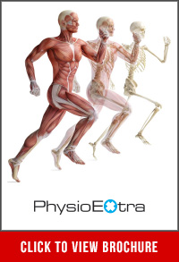 physio extra brochure