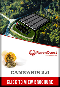 ravenquest-brochure